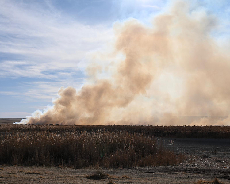 01KAC875T6DTW2H5RBYDNFB0CB