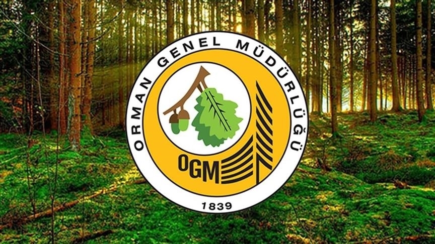 Orman Genel Müdürlüğü 496 Sözleşmeli Personel Alımına İlişkin Detaylar Belli Oldu