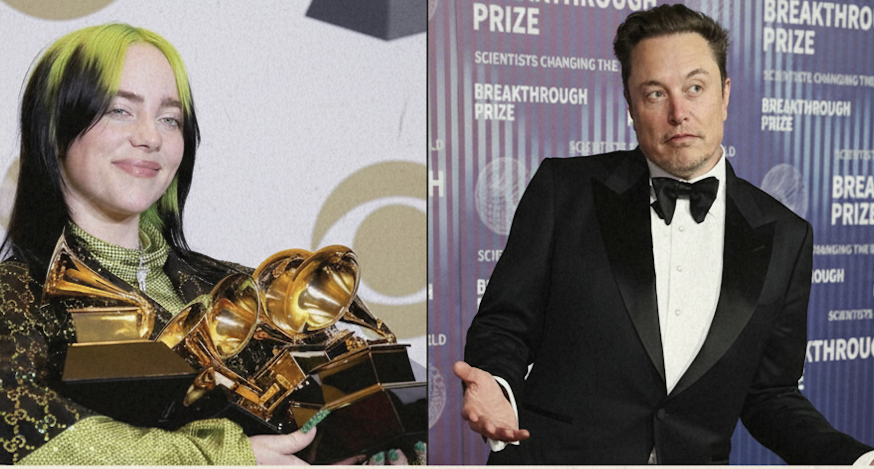 Elon Musk, Servet Eleştirisine Karşılık Billie Eilish'e Ne Dedi?