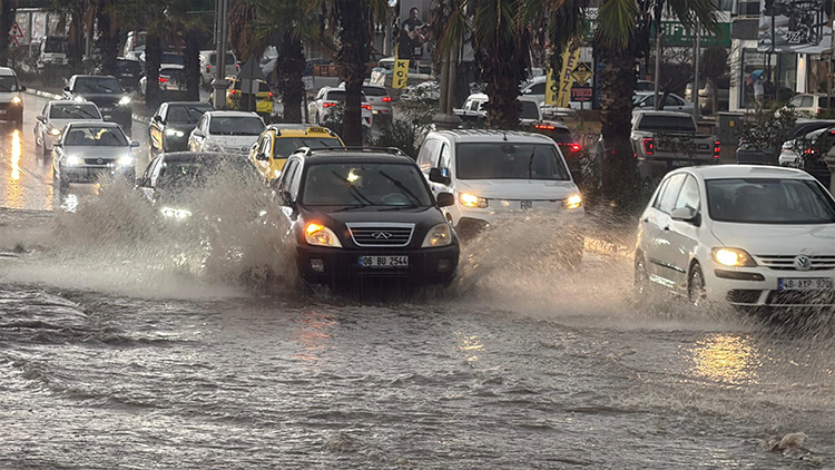 01KAGWPPHS2FKZNVTP5JKDDYRY