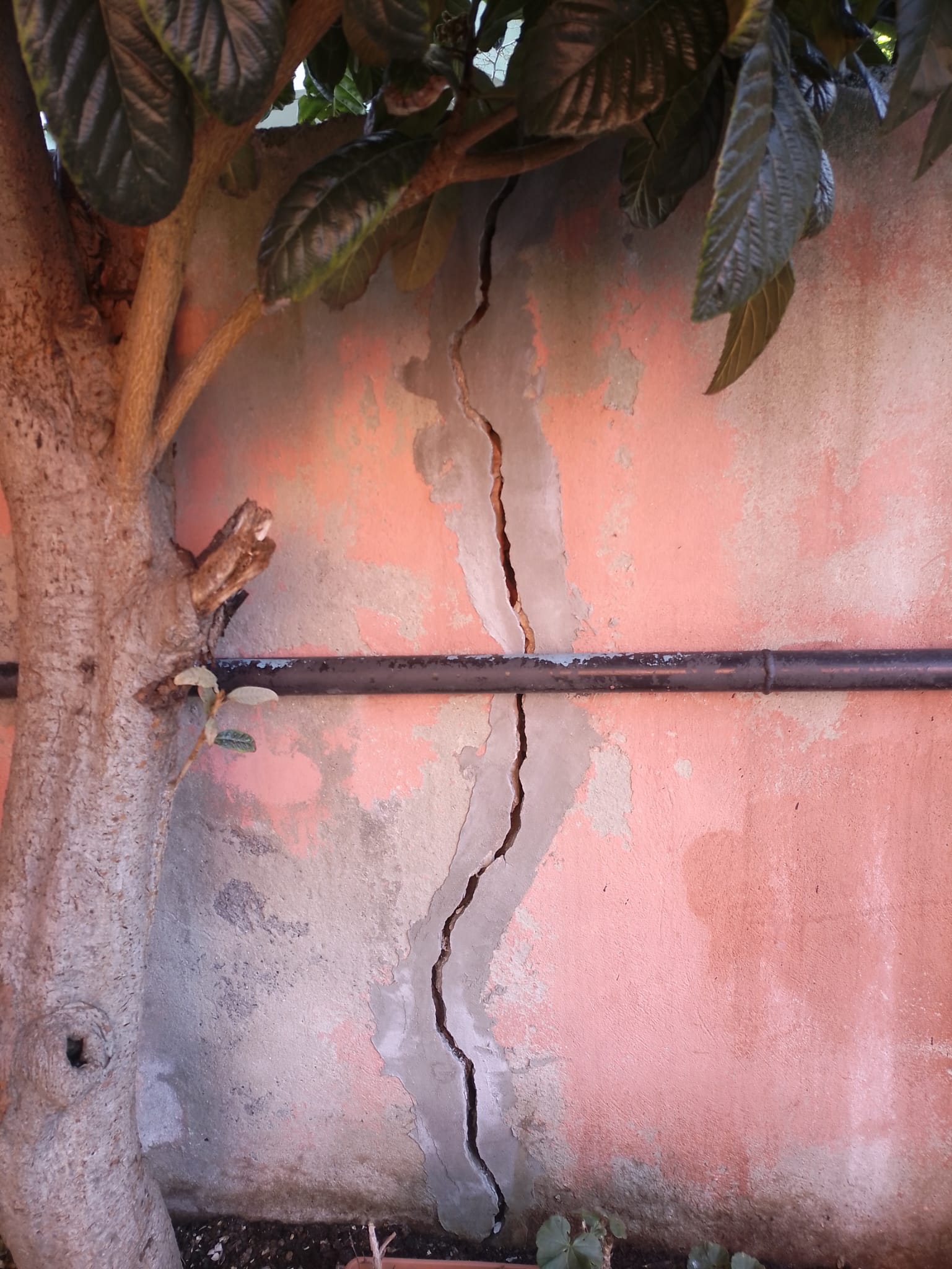 01KAGXVZS6JVM9588NRRYC5MGD