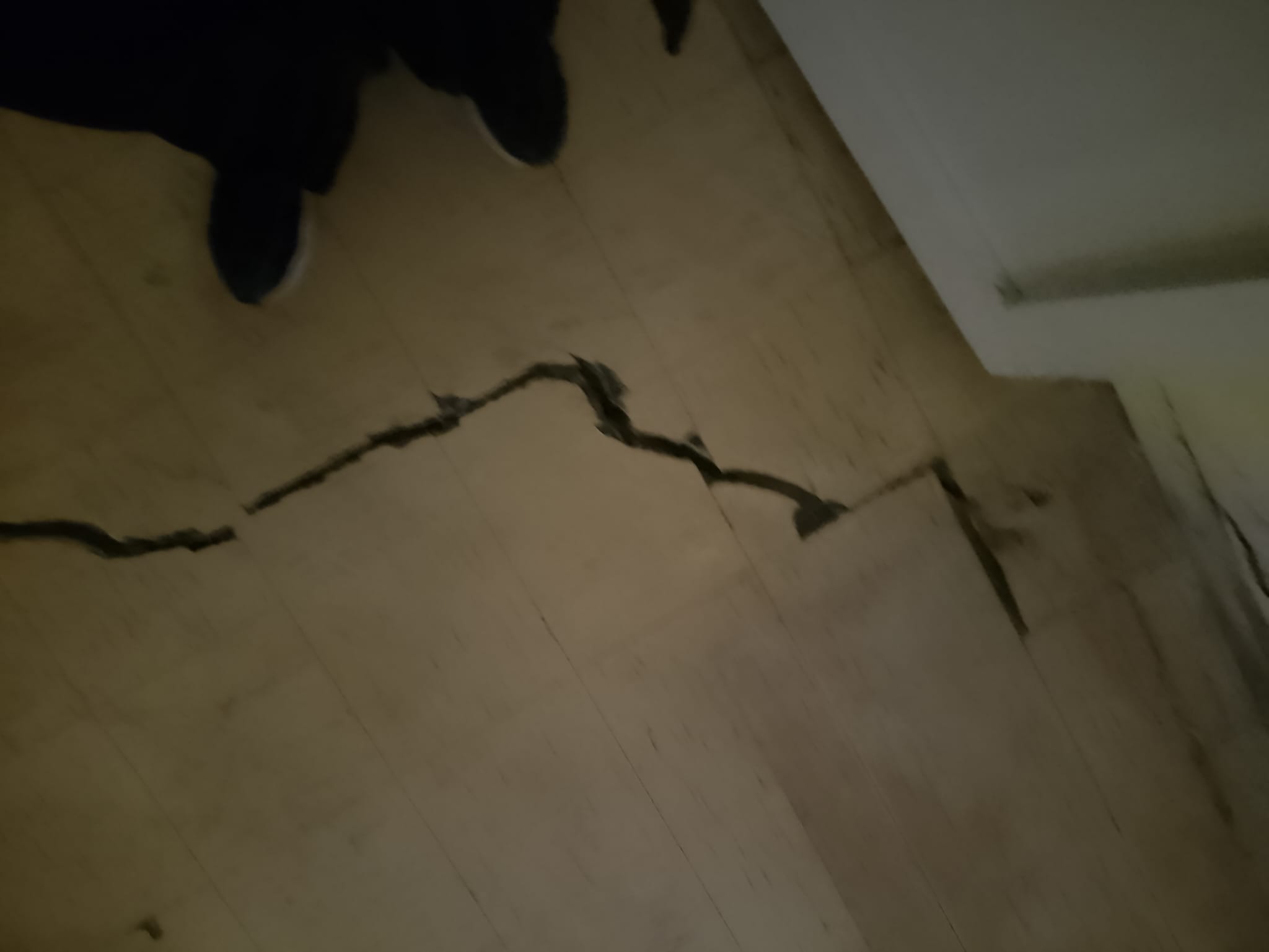 01KAGXWCVTXPJY7XG55J6CHTE3