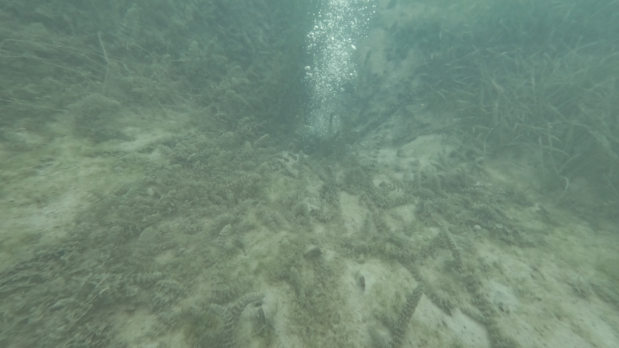 01KAH2MZ3VPE64HVFQN9A01315