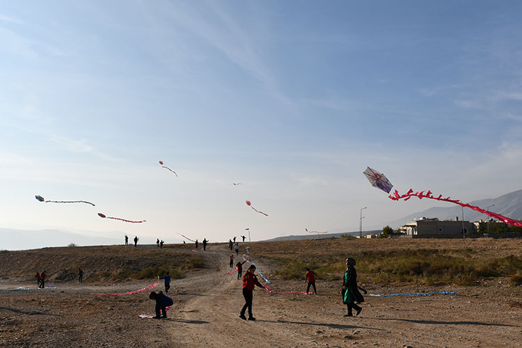 01KAH74H6SVV2RY6GY5D9DVEW4