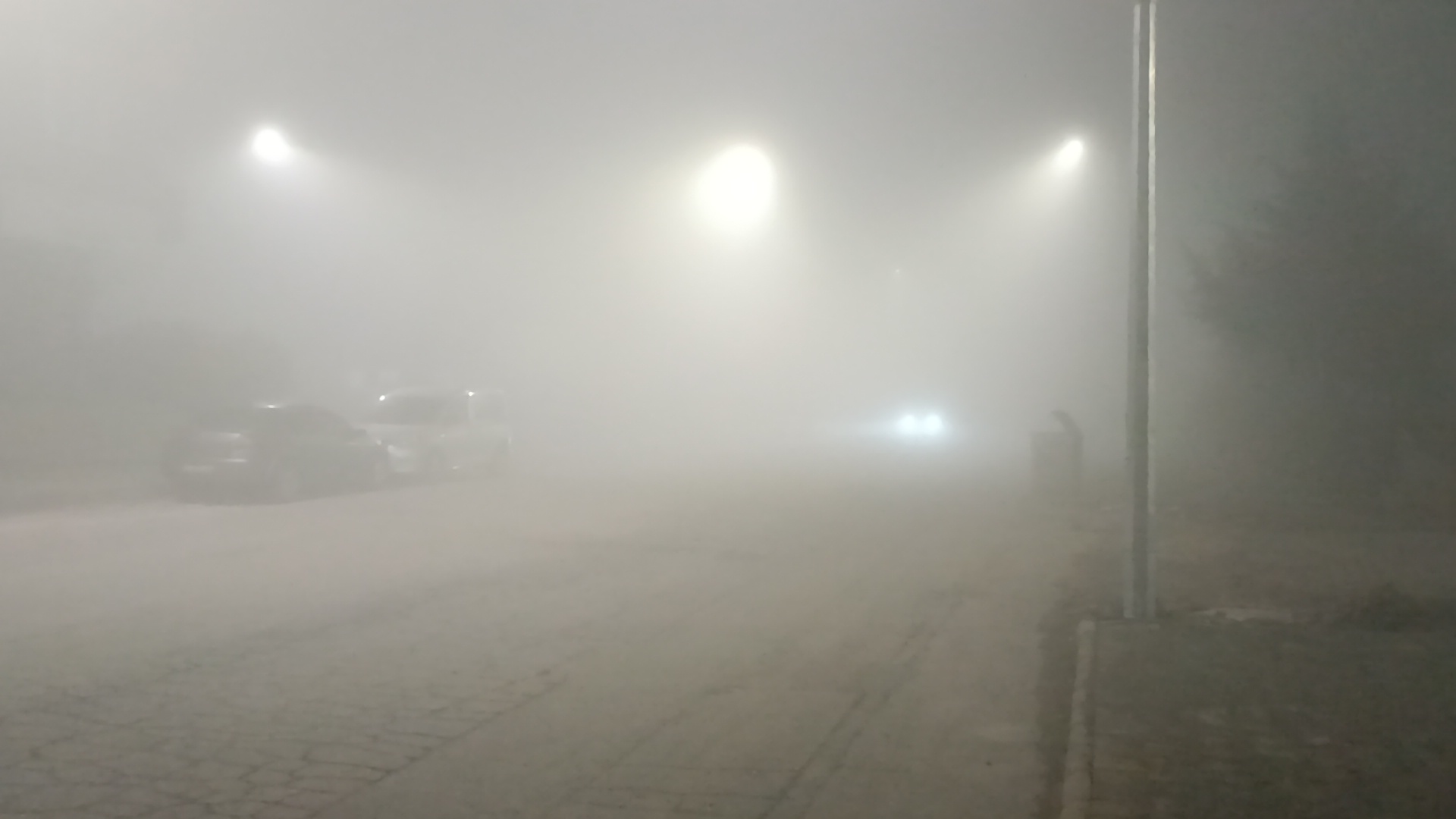 Batman'da Yoğun Sis: Görüş Mesafesi 5 Metreye Kadar Düştü