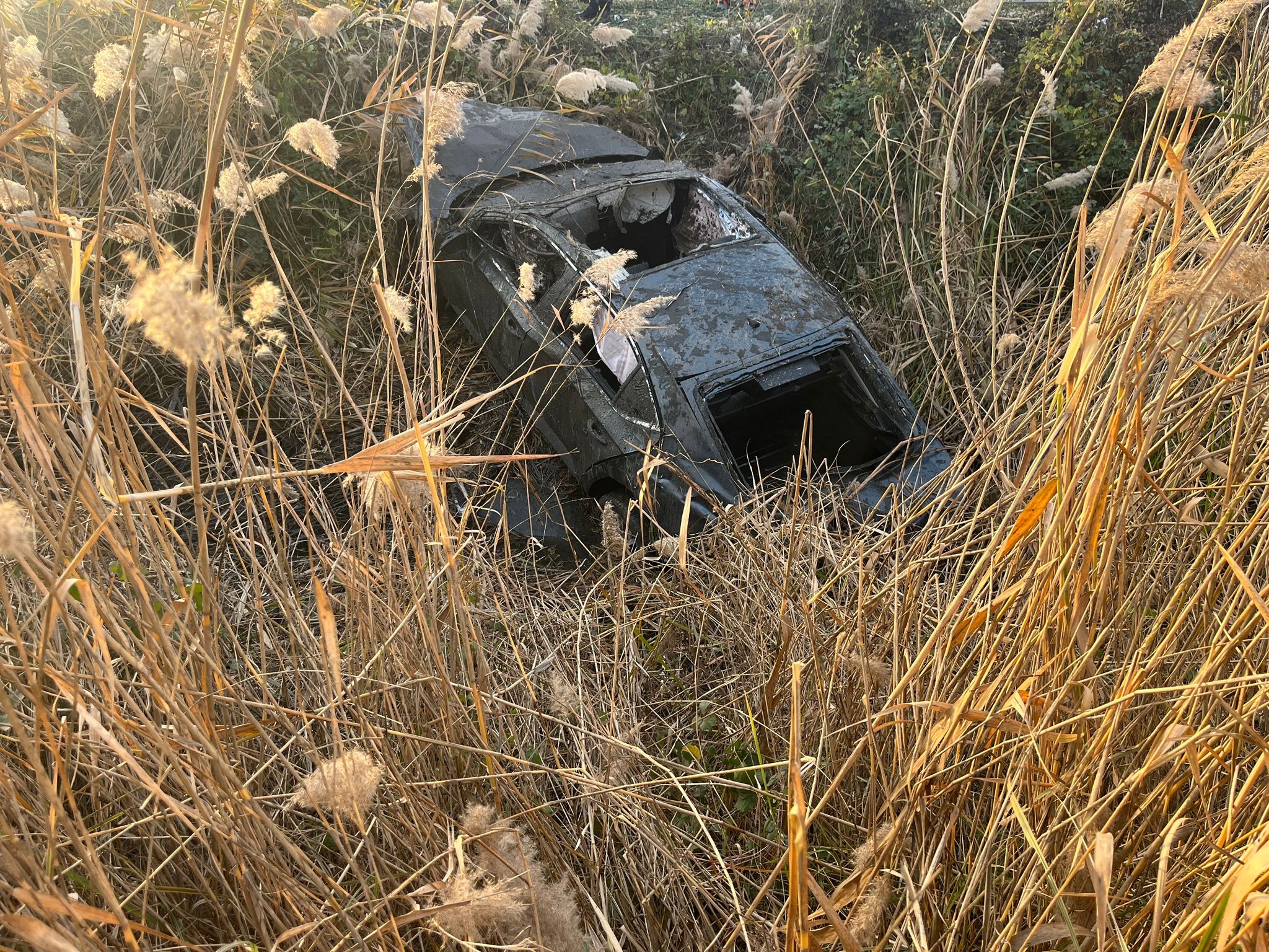 01KAN3CKJ1RZEAA1X7VMNSYF02