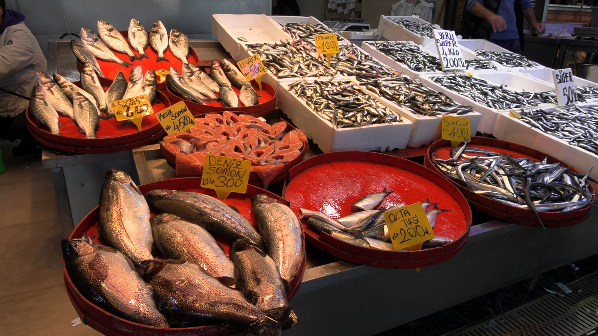 01KAQWAGQQDH54DKPM74PSGP5M