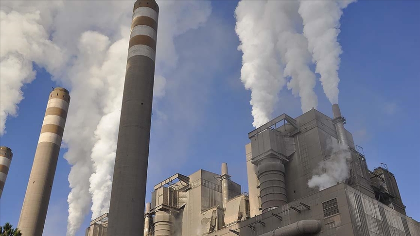 Greenpeace Türkiye'nin Atması Gereken Adımları Sıraladı