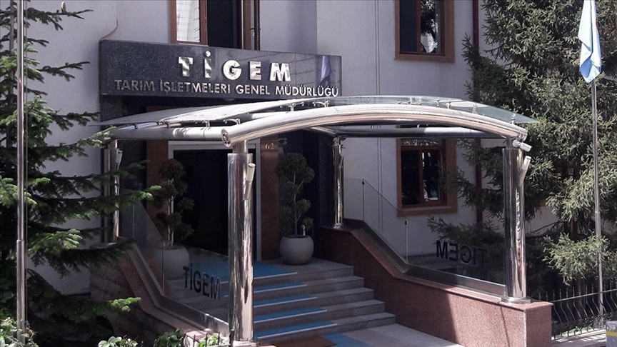 TİGEM, 74 Bin 665 Ton İnek Sütünü İhaleyle Satacak