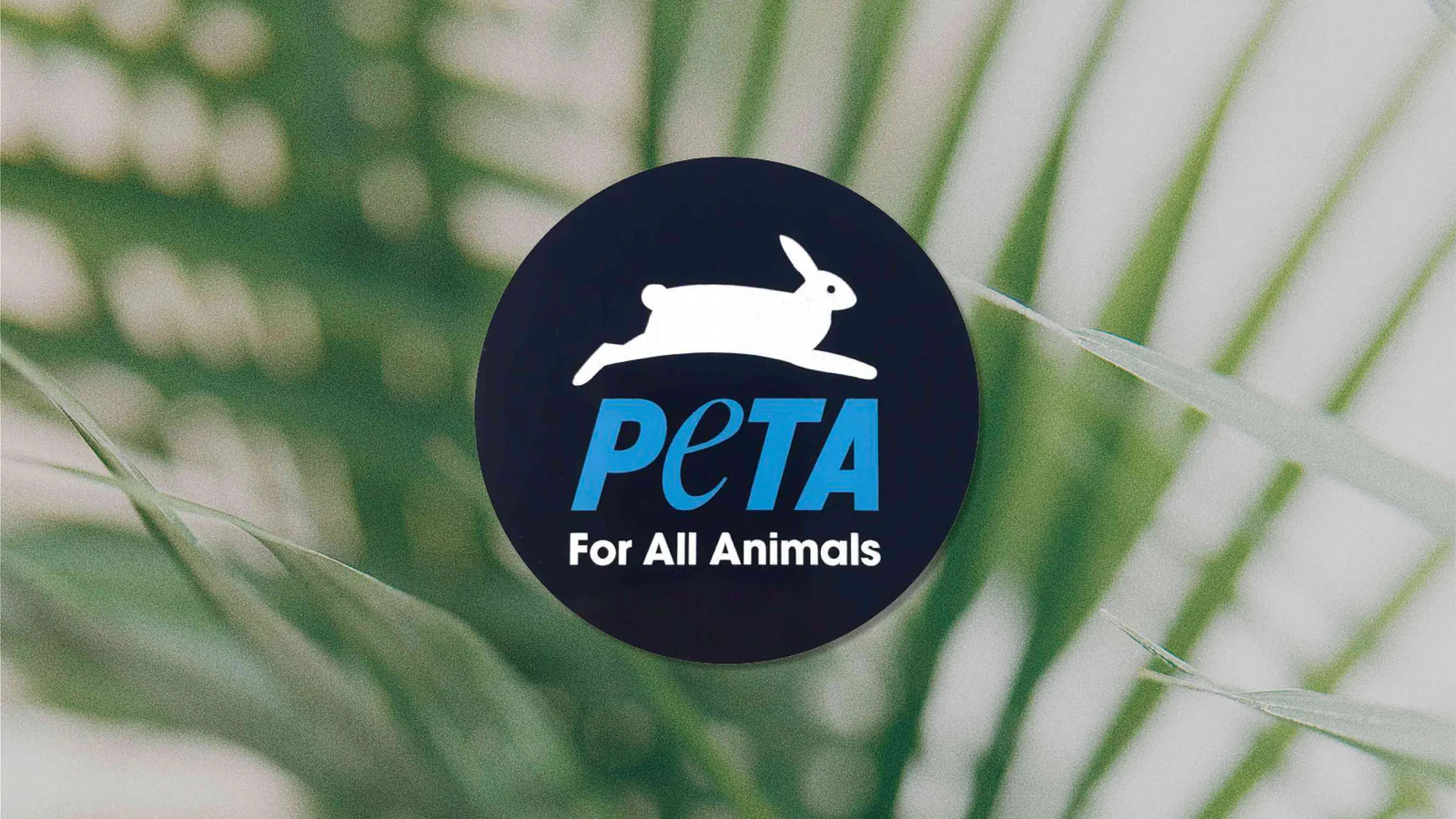  Hayvan Haklarının 'Hırçın' Sesi: PETA Nedir, Nasıl Bir Örgütlenmedir?