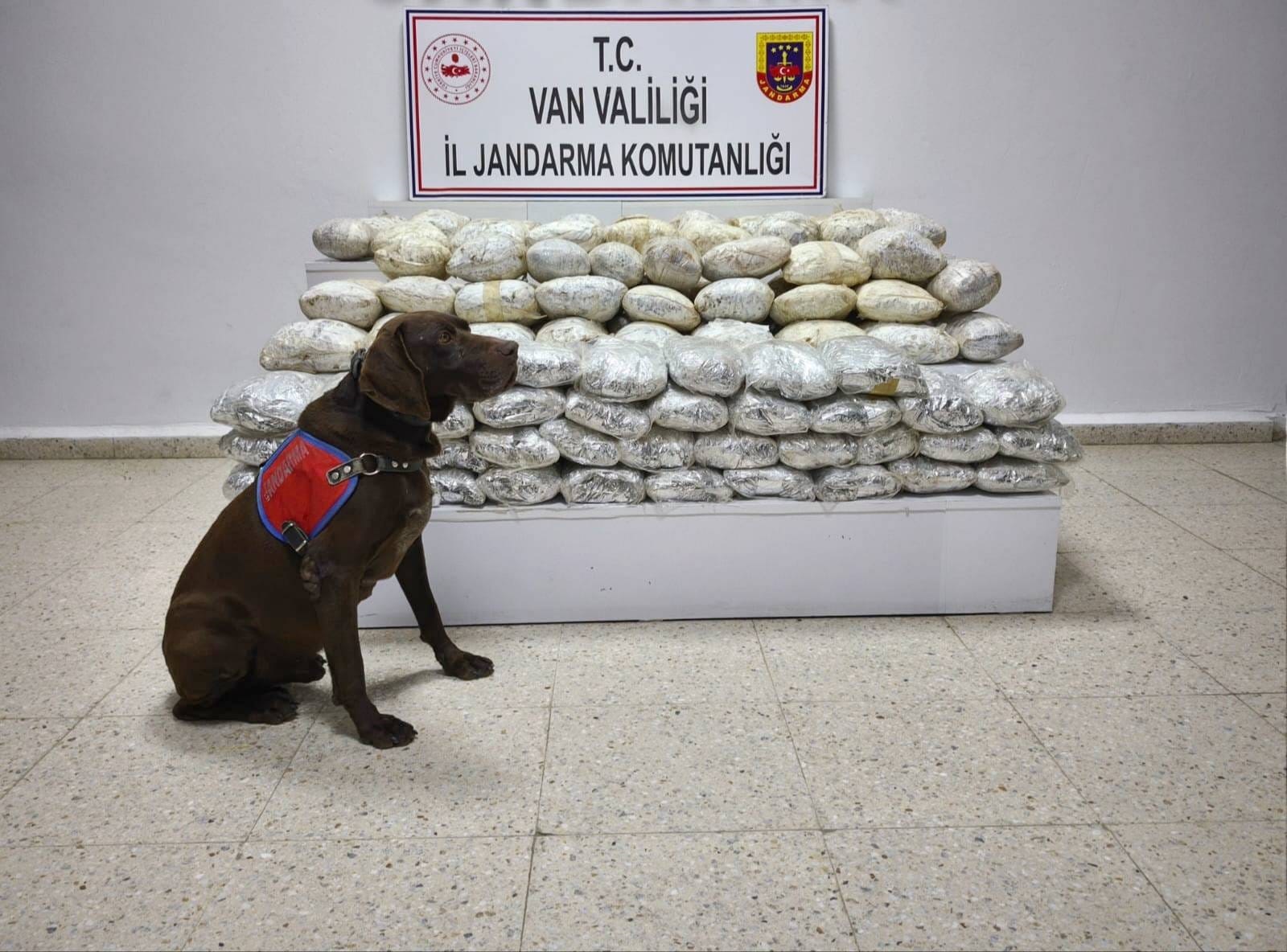 Van'da uyuşturucu operasyonu! 