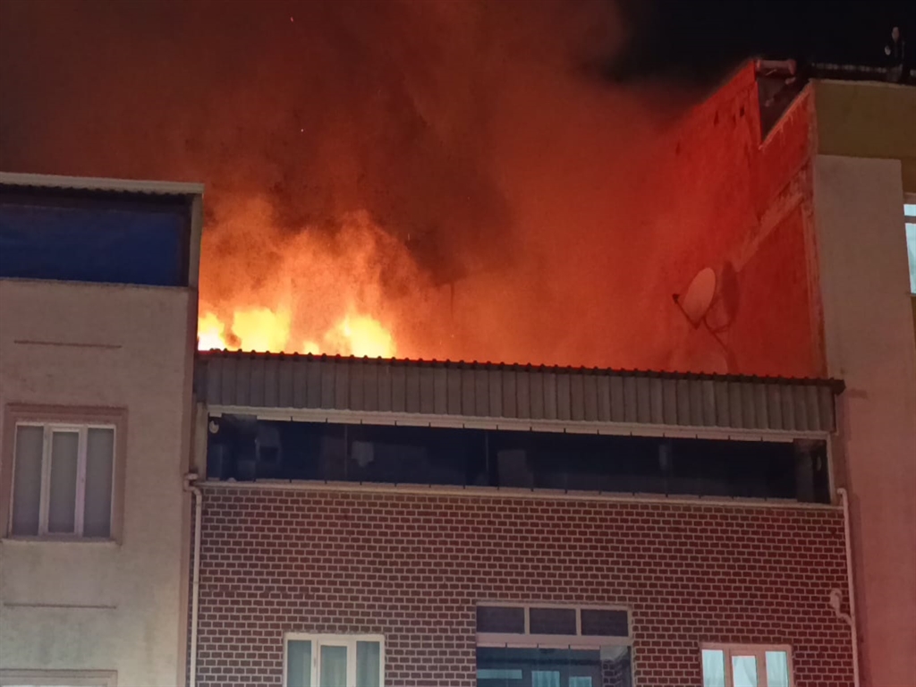 01KBKBWDW3HGFZ8N10BNDBDQZY