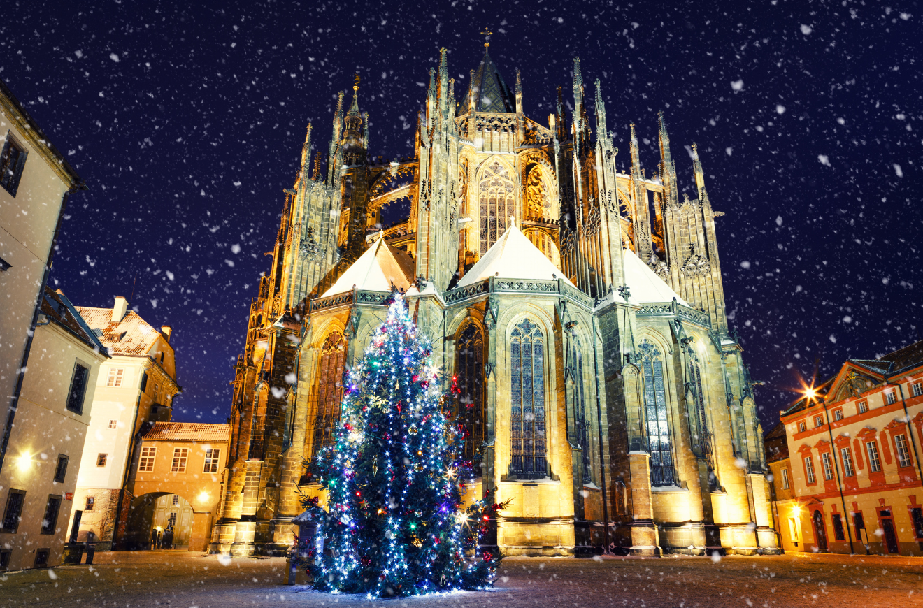 01KBYFZKPSY1VDNMGA7BD50PEP