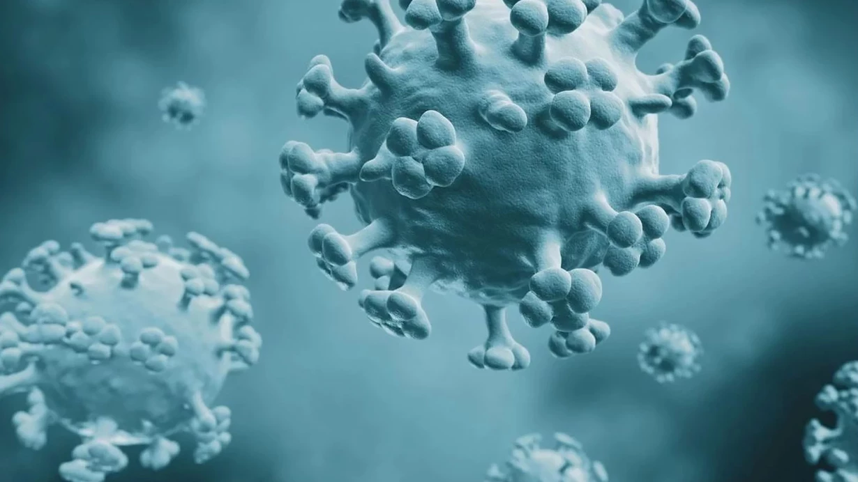 H3N2 Virüsü: Vakalar Artacak Mı?