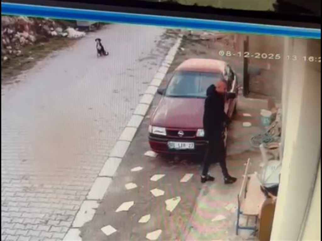 01KC4930R4N4PTE1E2KRXF4AEB