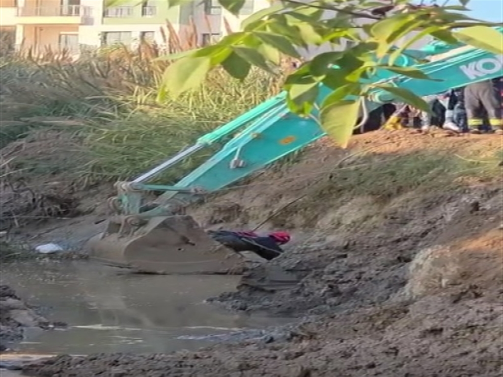 01KC4DER7C7CM1NP6DZCJA13QB