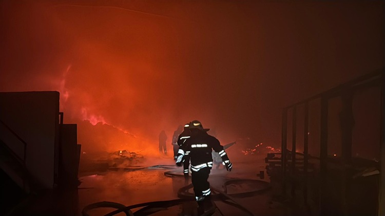 01KC4M6W8662PW66NVD4QSHTN9