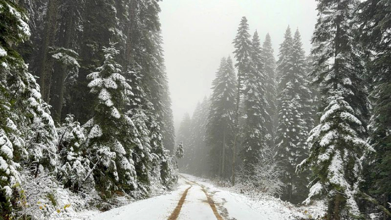 01KC69SRC1EG91DCQPG73CR10D