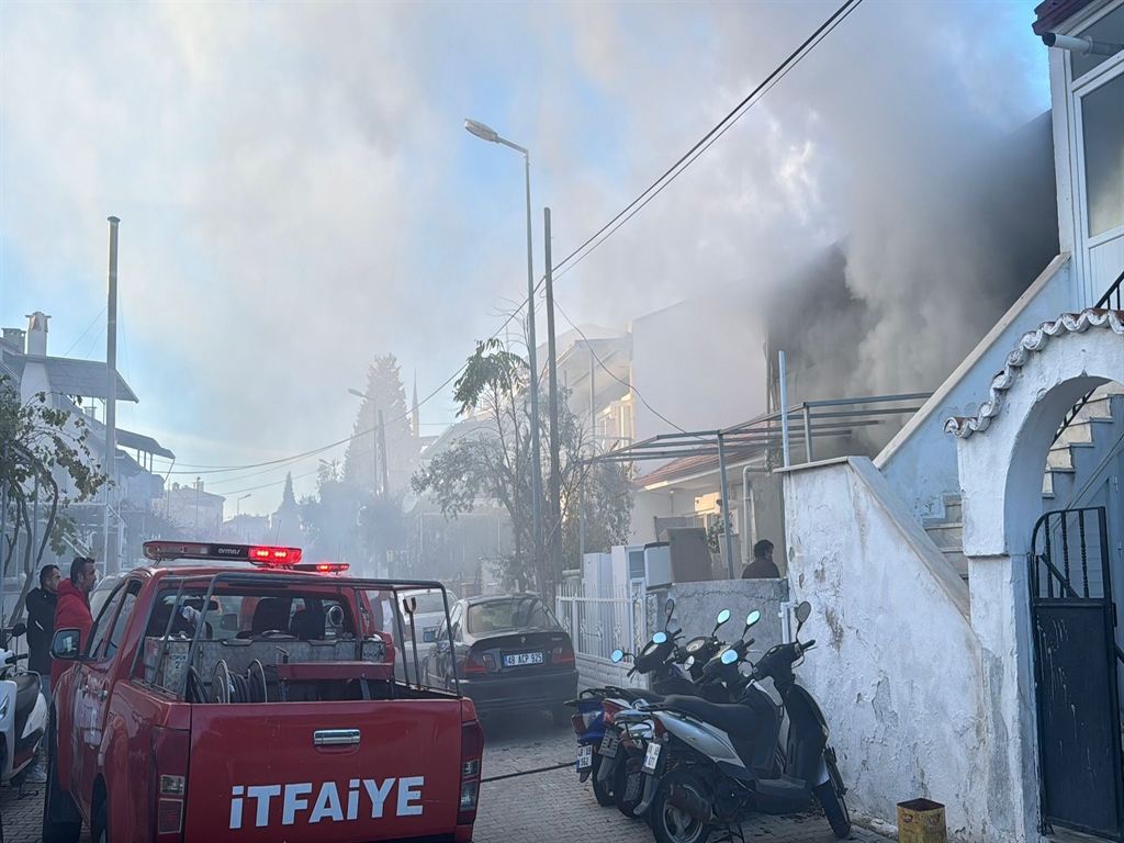 01KCA2D1QH3XXMA4C4HSWHPDPQ