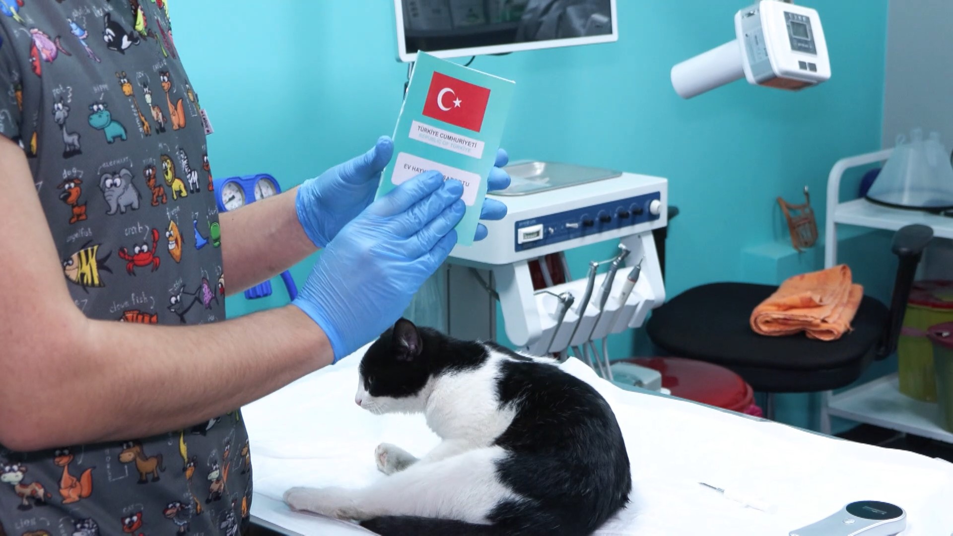 Evcil hayvanlara çip taktırmak için son gün 31 Aralık