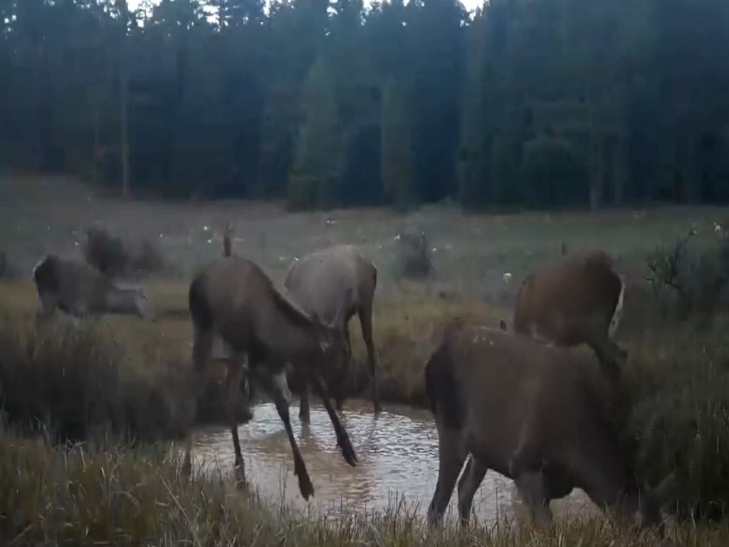 01KCC41SJVP6YW6GZ8MV3DFW13