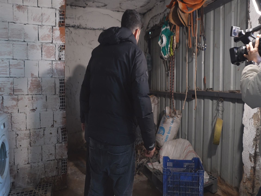 01KCC6QS5JWTMABXGQQHF77C1Z