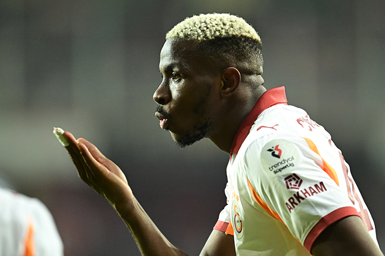 01KCCJG8B31V6W2XVX2E15BJGA