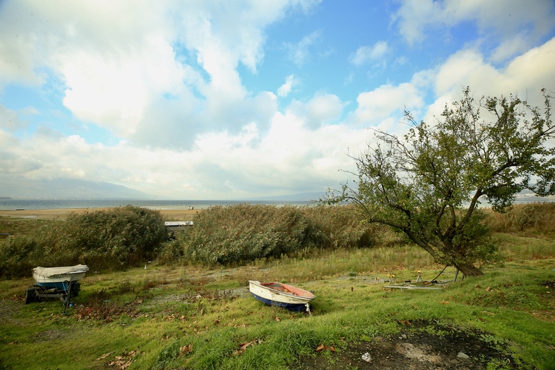 01KCH56RQXWJEC65EXKX5Z19V8