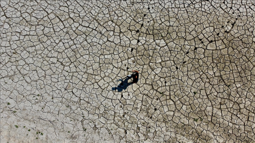 2025 Yılında Çevre ve İklim İçin 7 Tarihi Dönüm Noktası