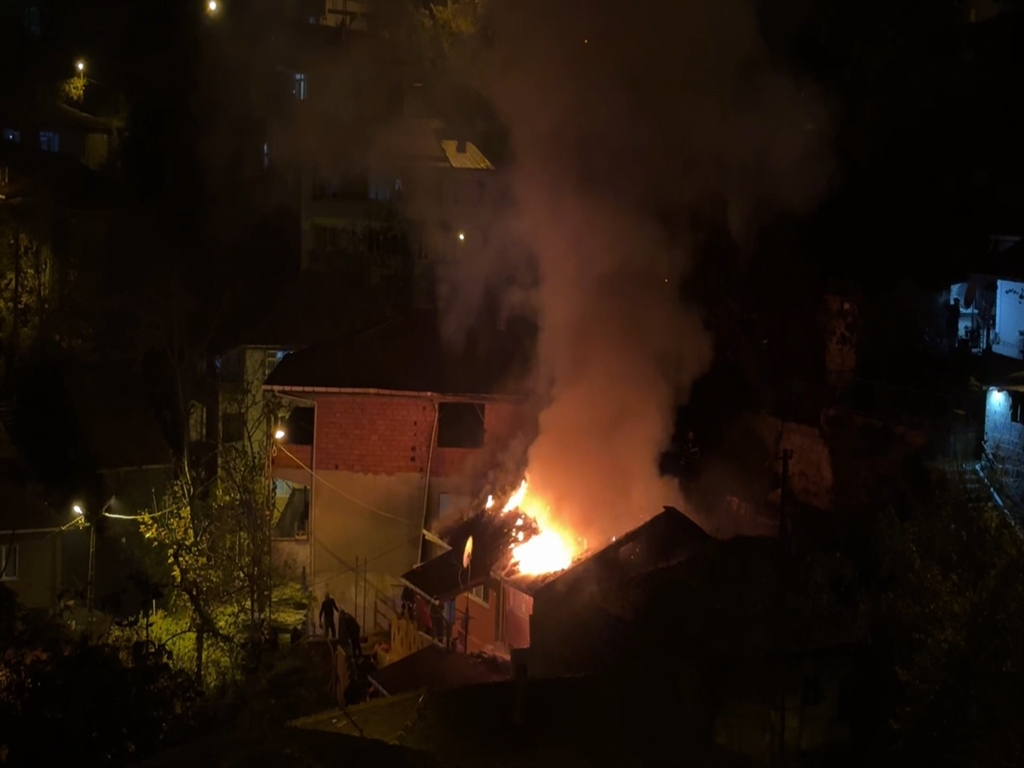 Zonguldak'ta yangında mahsur kalan papağan kurtarıldı