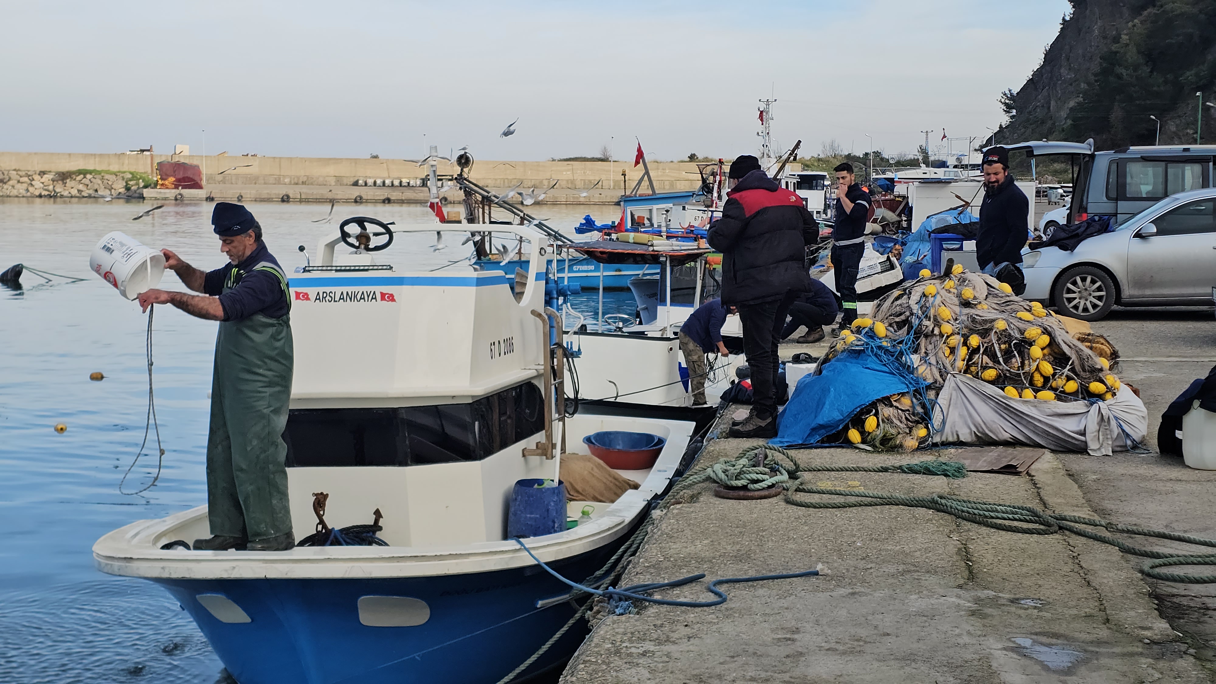 Karadeniz'de zor sezon: Hamsi var, diğer balıklar yok