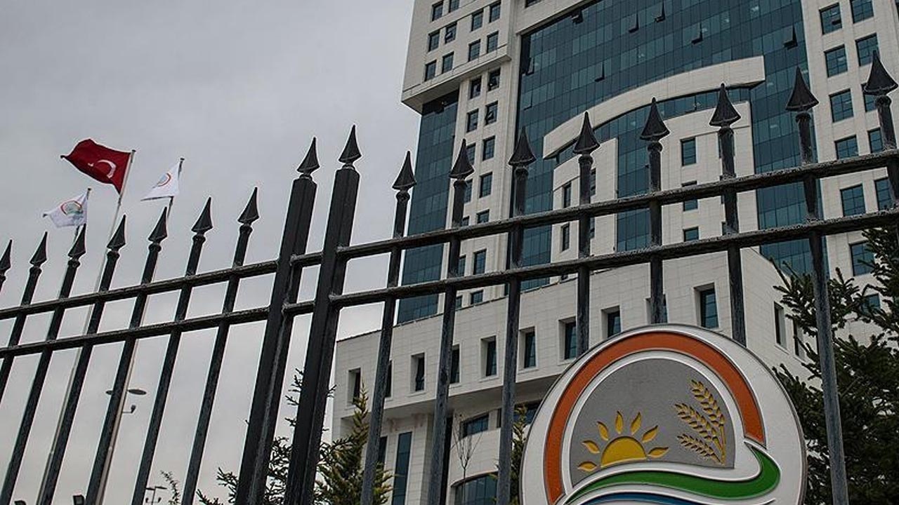Bakanlığın 'minik bir misafiri' var! Koruma altına alındı