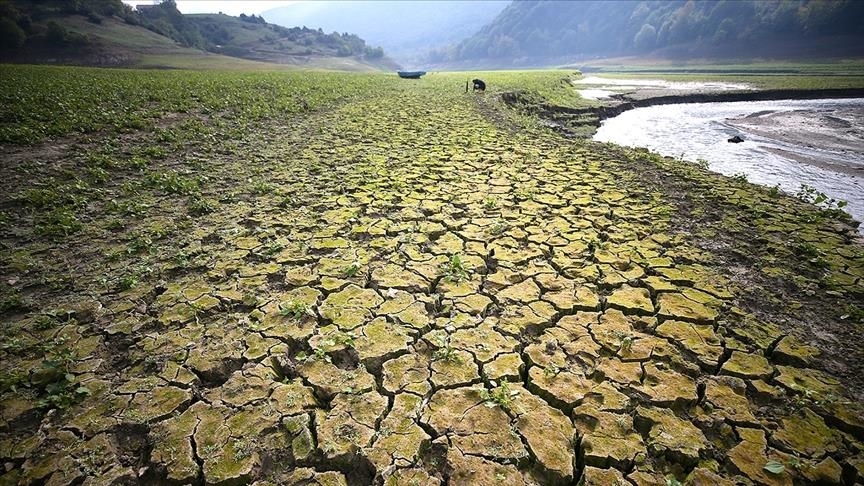 ABD Seçmeni: İklim Krizi Faturaları Doğrudan Etkiliyor