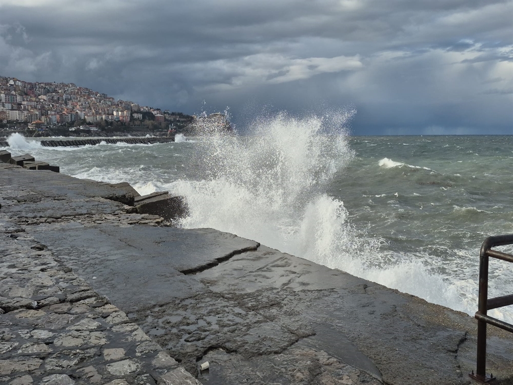 Zonguldak'ta kuvvetli rüzgar çınar ağacını devirdi