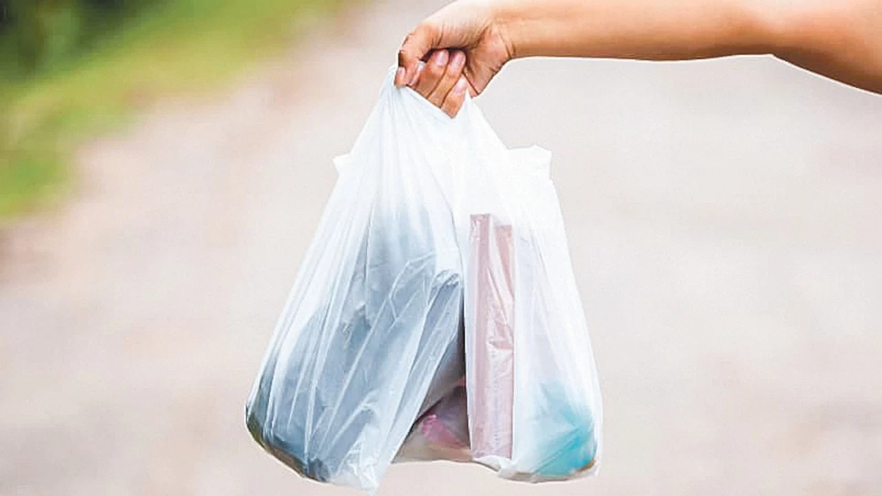 Plastik poşet fiyatlarına yeni yılda zam geliyor!