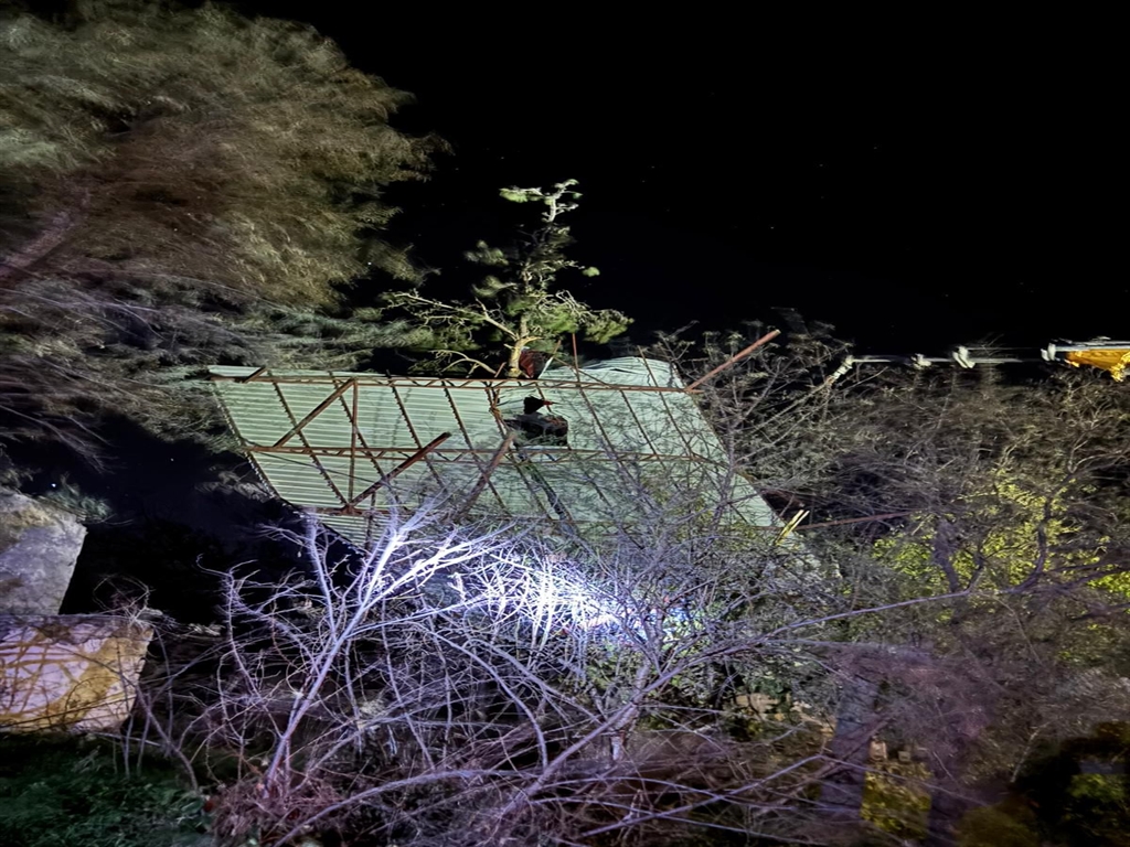 Mersin'de şiddetli rüzgar: Asırlık meşe devrildi