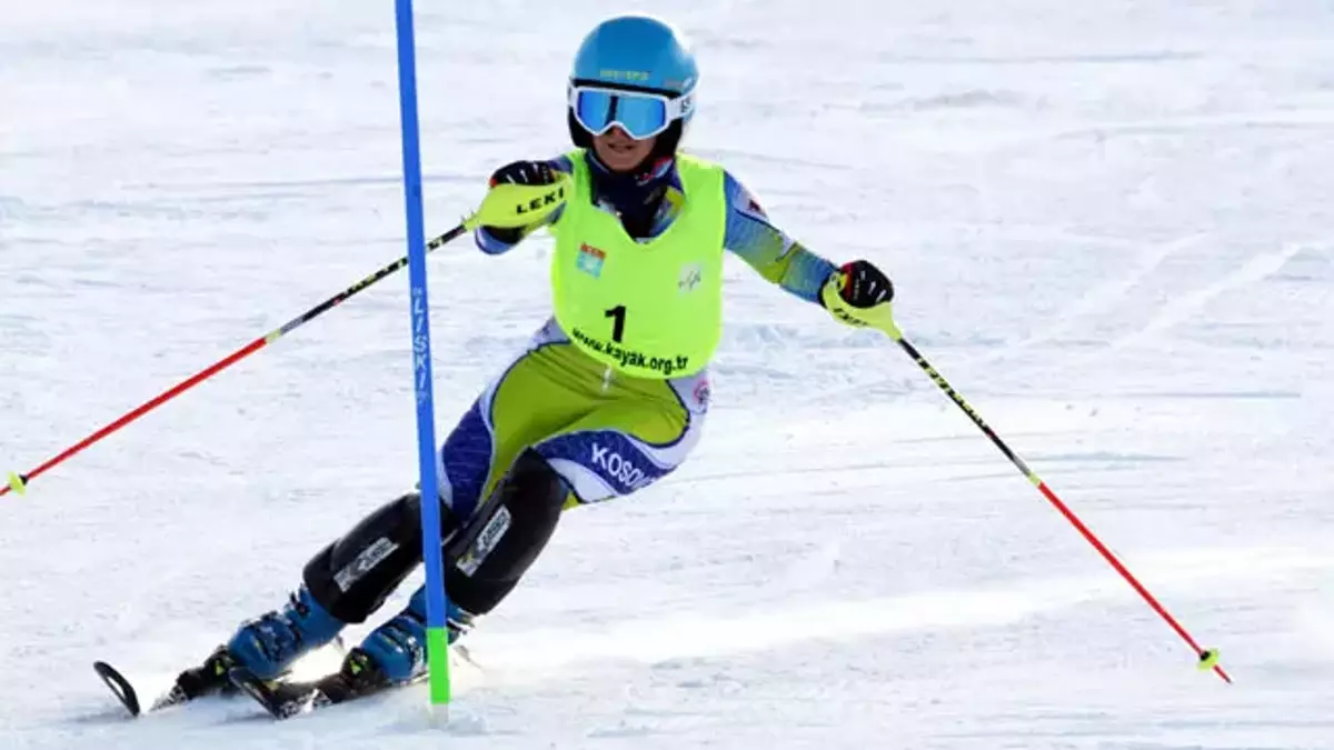 Erzurum'da düzenlenen Alp-FIS Palandöken Kupası sona erdi