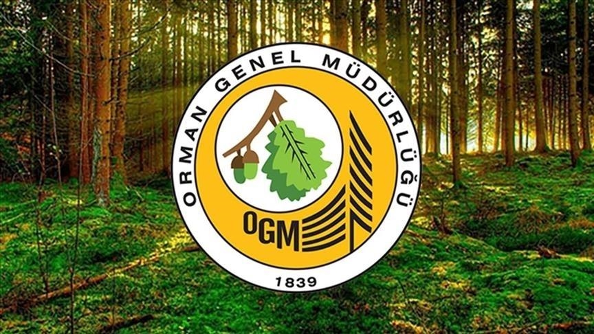 Orman Genel Müdürlüğü 26 işçi alacak: Son başvuru tarihi ne zaman?