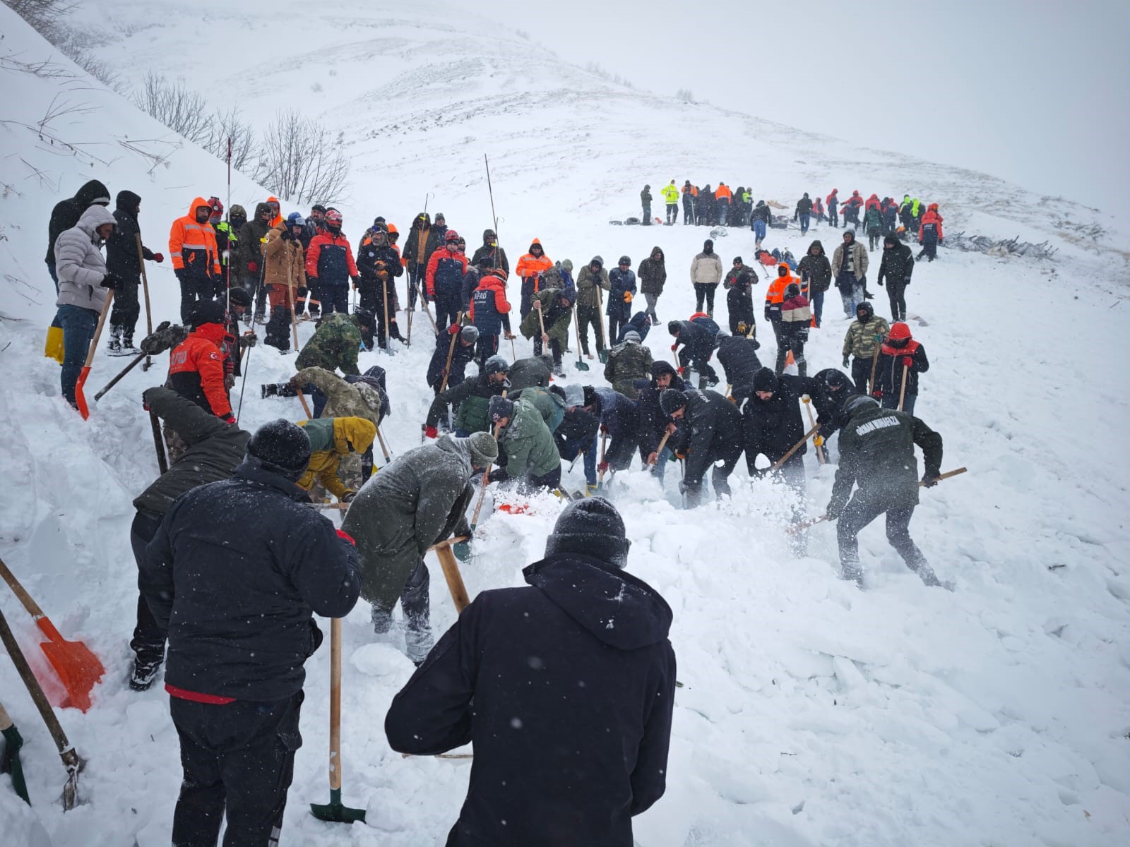Artvin'de Çığ Faciası: 2 Çoban Hayatını Kaybetti