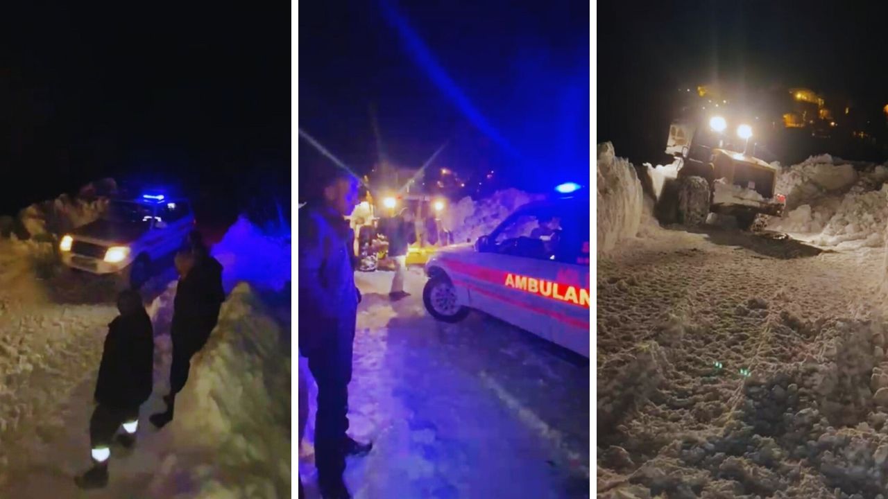 Van'da insanlık örneği! Kar fırtına demeden kilometrelerce sırtlarında taşıdılar