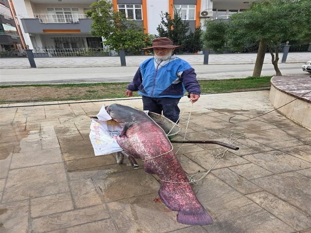 01KEC6F2QEYNMYN7PX5SJY8SCT