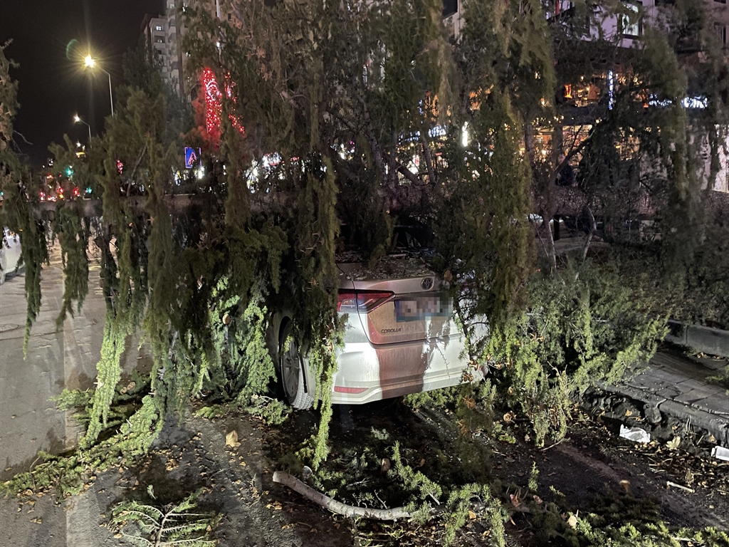 01KEFNF848DZF8PKZ31BZ1S44B