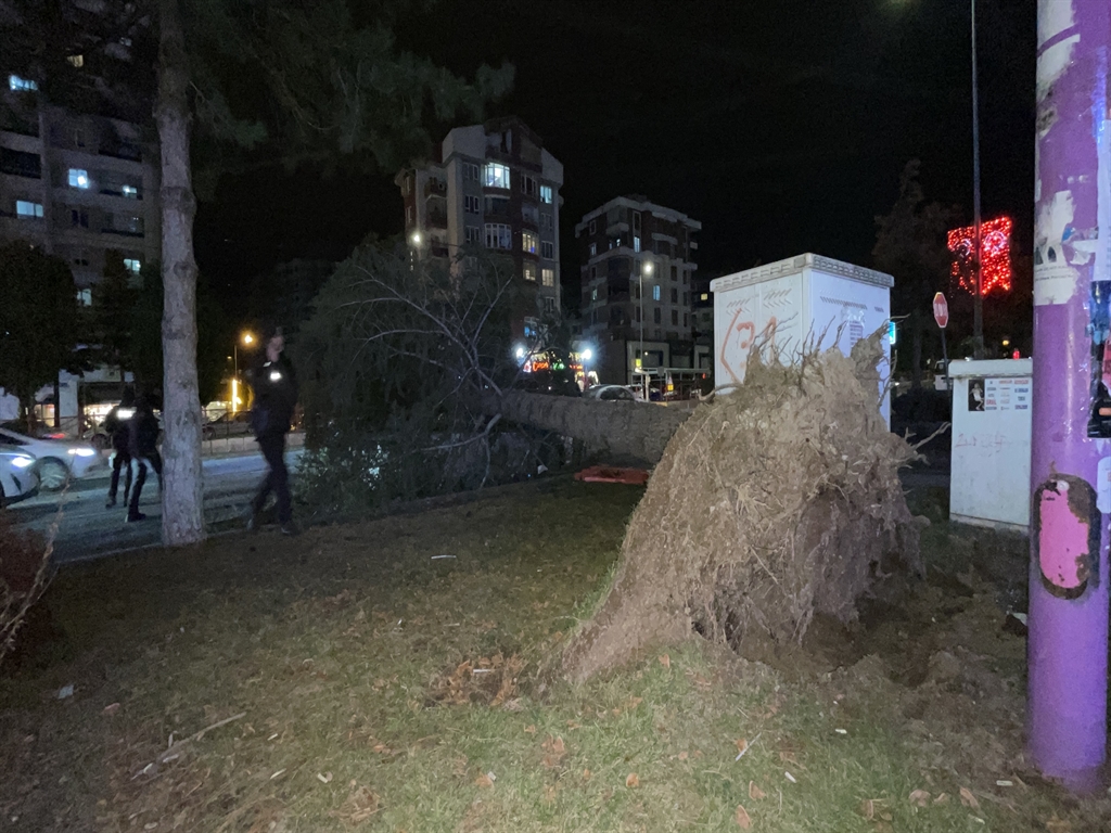 01KEFNF8P088WTXCG0QQX7PJR8