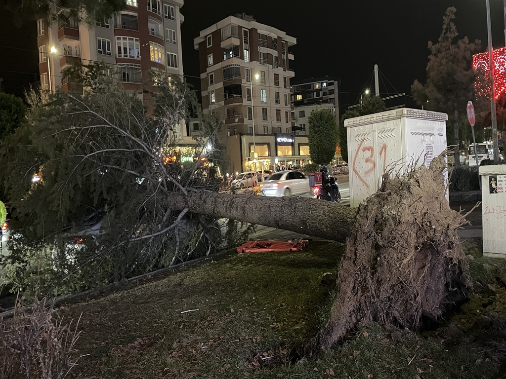 Kayseri'de fırtına: Talas'ta otomobilin üzerine ağaç devrildi