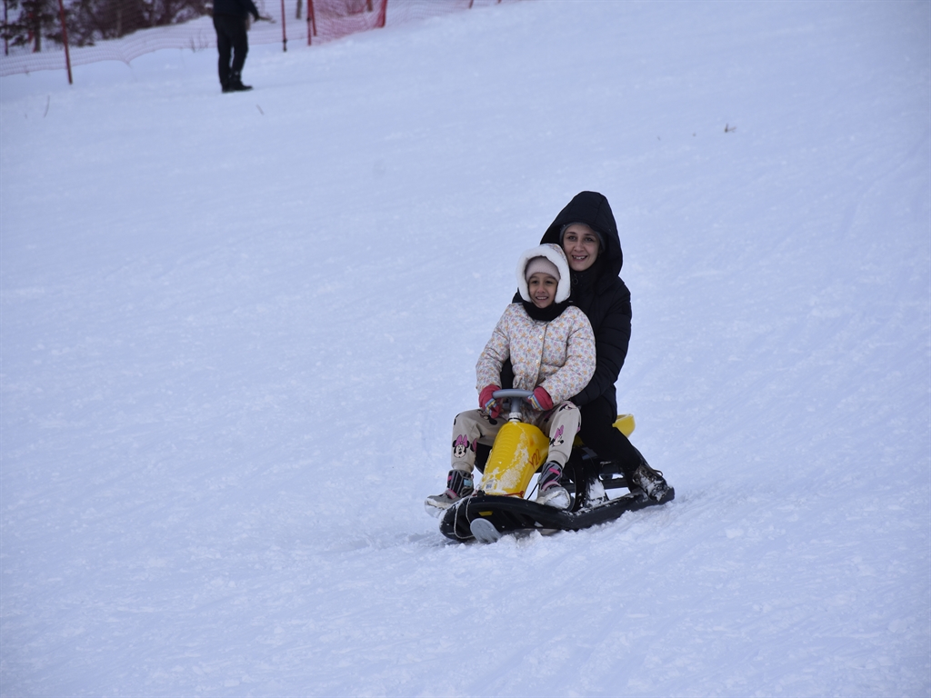 01KEM358230C2HK0V64TVV2YQD