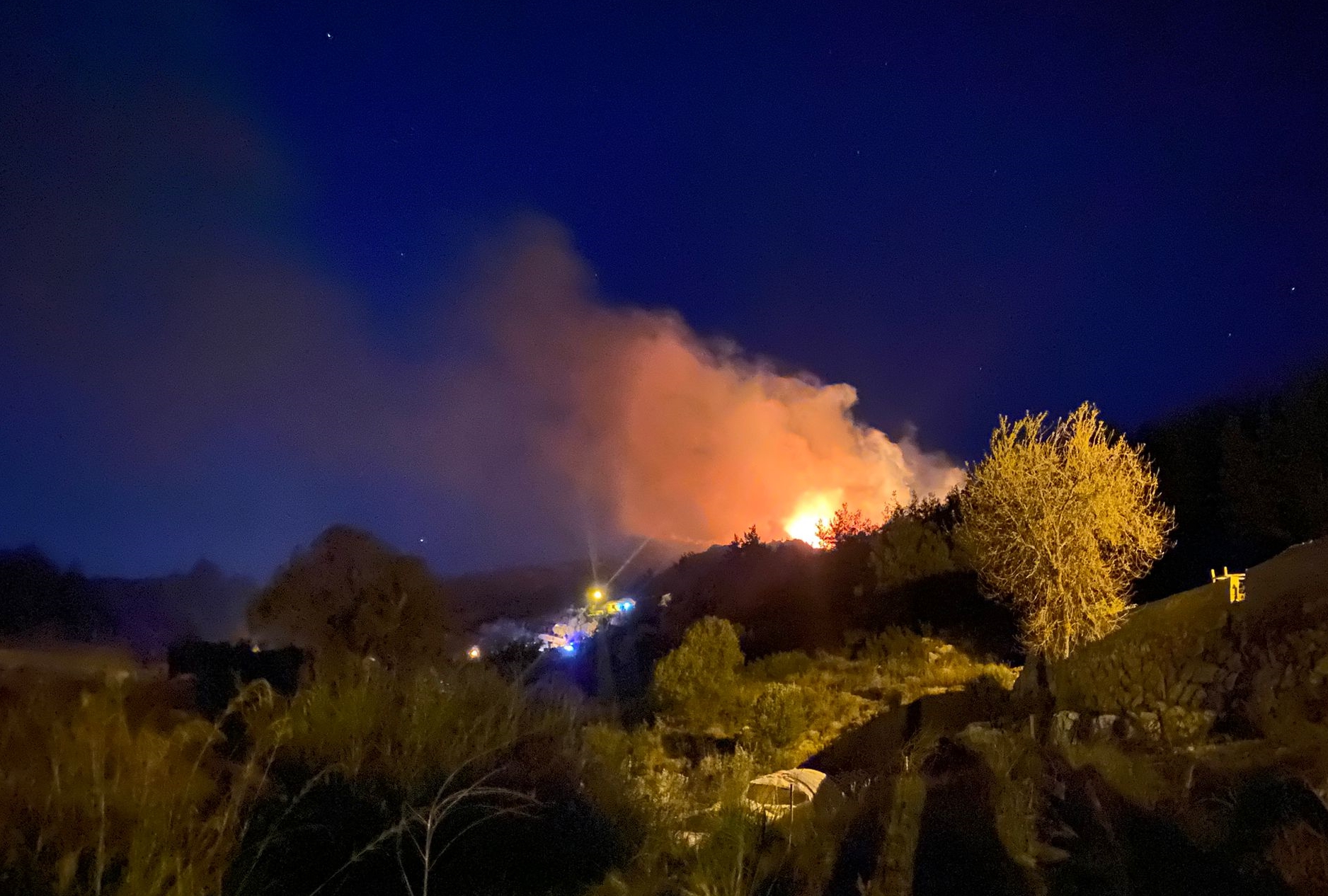 Antalya'da ormanlık alanda çıkan yangına müdahale ediliyor