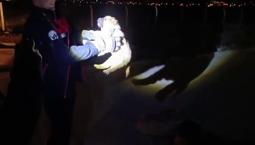 Hatay'da rögarda sıkışan yavru köpek, kurtarıldı