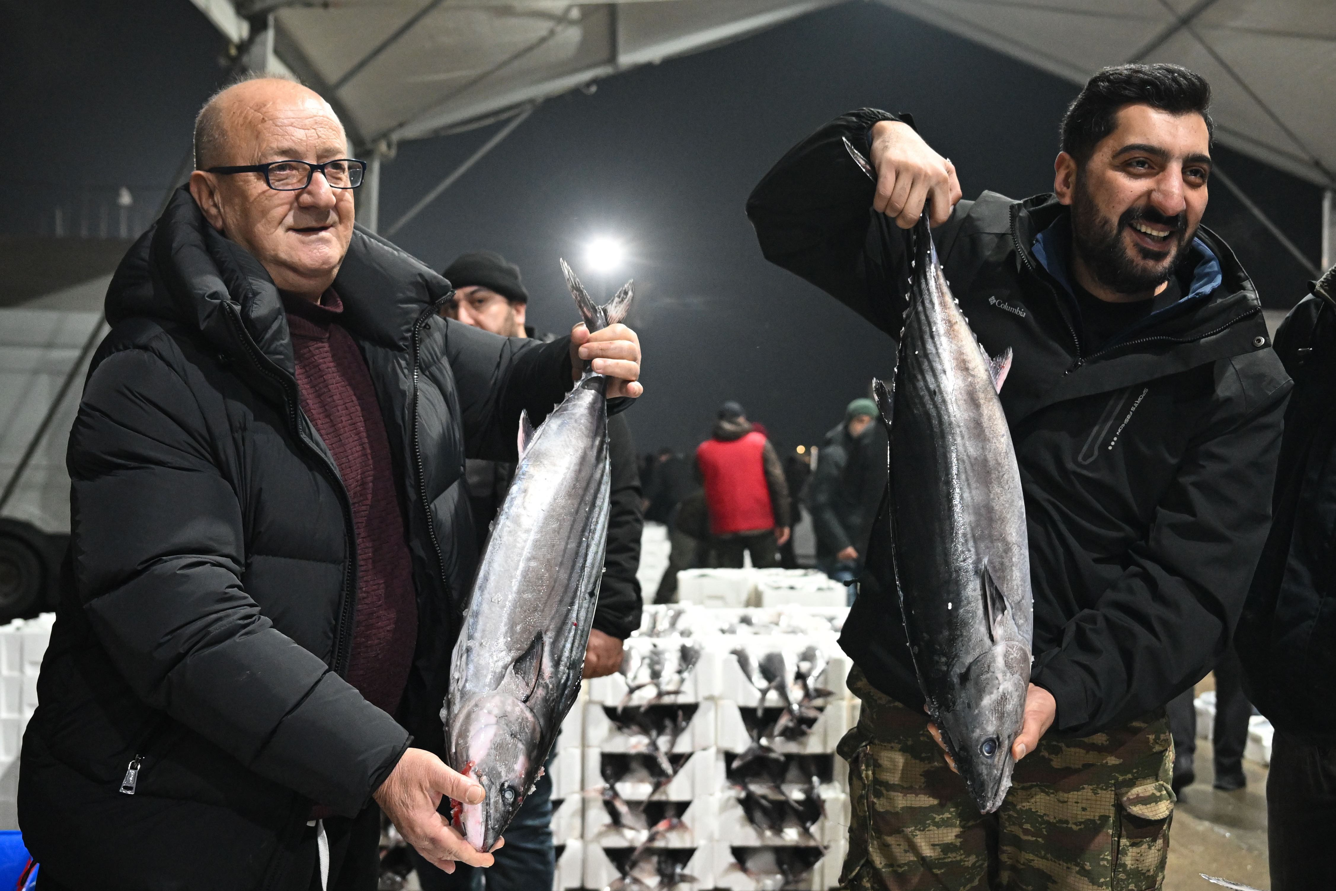 Marmara Denizi'nde 40 yıl sonra torik bereketi