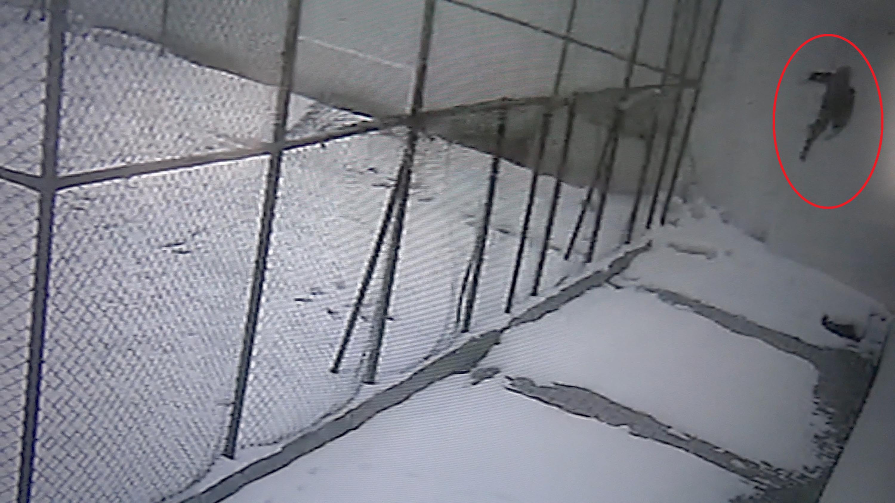 Erzurum'da cam silerken 3'üncü kattan düşen öğretmen hayatını kaybetti