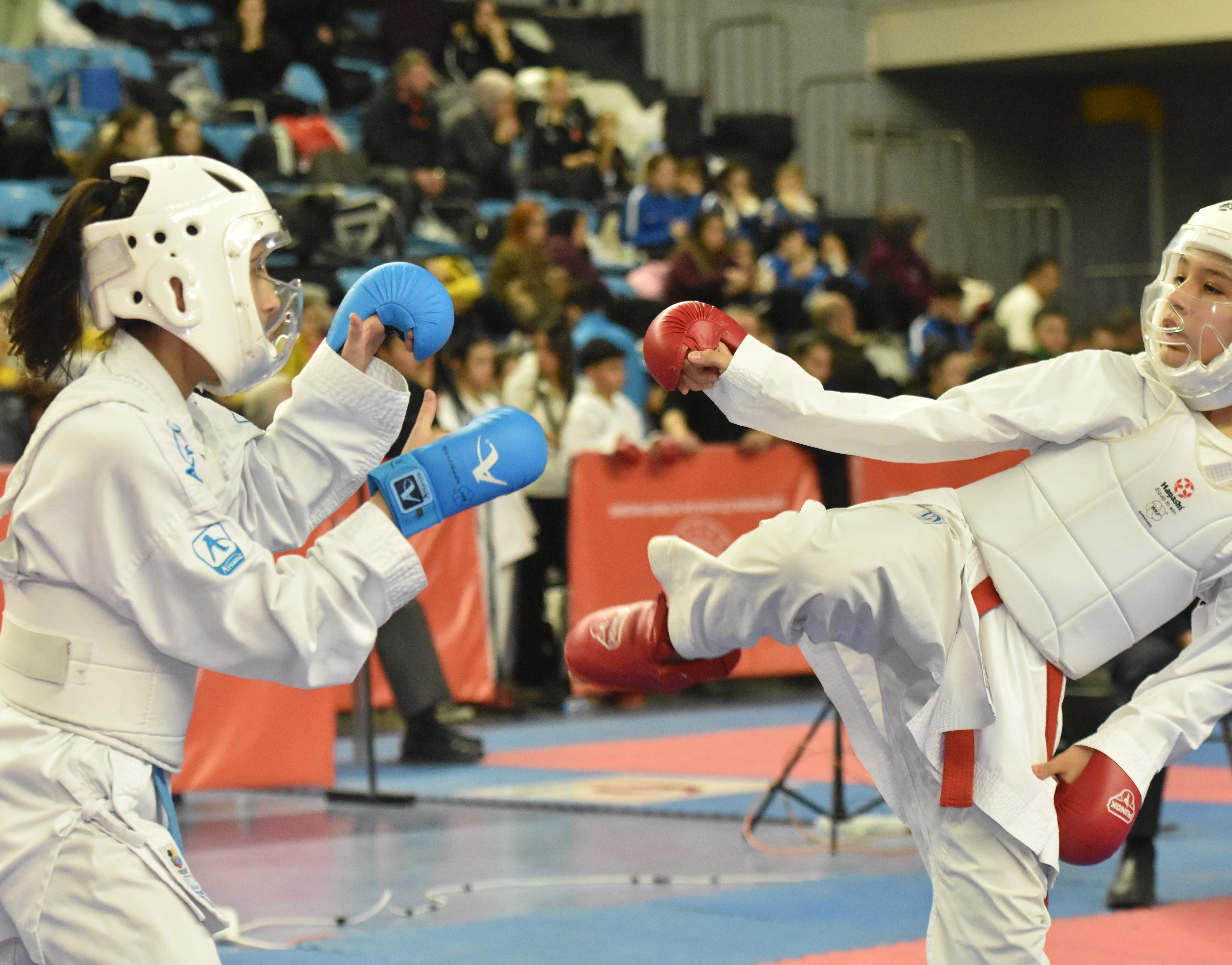 Sakarya'da Türkiye Yıldızlar Karate Ligi heyecanı sona erdi